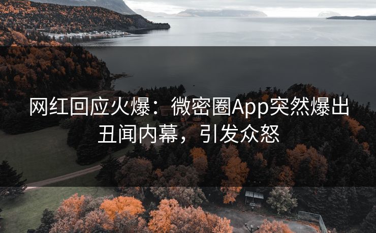 网红回应火爆：微密圈App突然爆出丑闻内幕，引发众怒