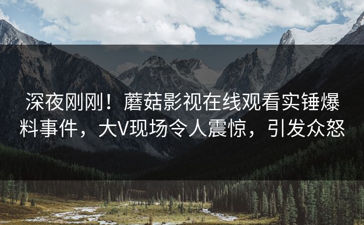 深夜刚刚！蘑菇影视在线观看实锤爆料事件，大V现场令人震惊，引发众怒