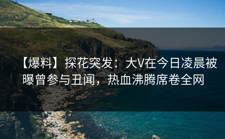 【爆料】探花突发：大V在今日凌晨被曝曾参与丑闻，热血沸腾席卷全网