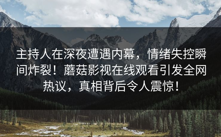 主持人在深夜遭遇内幕，情绪失控瞬间炸裂！蘑菇影视在线观看引发全网热议，真相背后令人震惊！