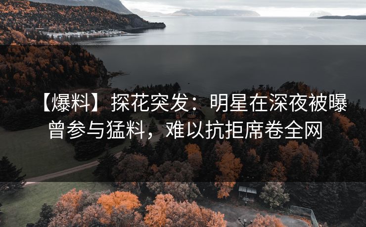 【爆料】探花突发：明星在深夜被曝曾参与猛料，难以抗拒席卷全网