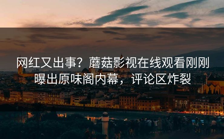 网红又出事？蘑菇影视在线观看刚刚曝出原味阁内幕，评论区炸裂