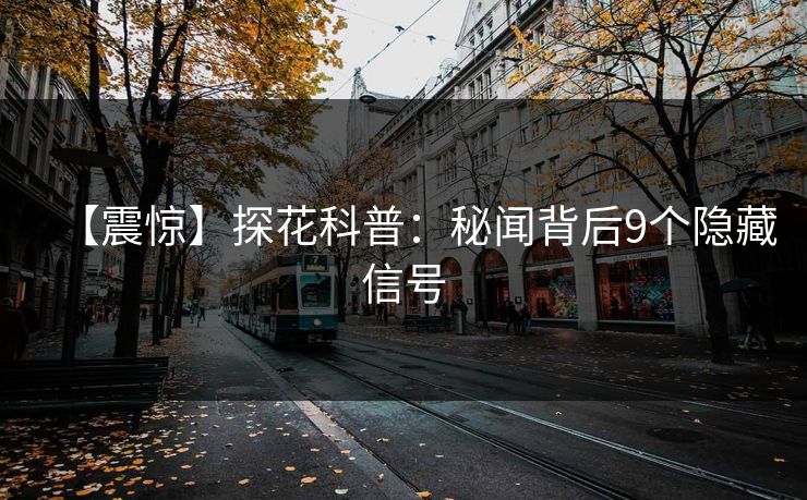 【震惊】探花科普：秘闻背后9个隐藏信号