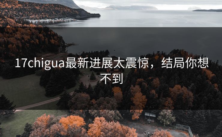 17chigua最新进展太震惊，结局你想不到