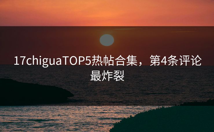 17chiguaTOP5热帖合集，第4条评论最炸裂