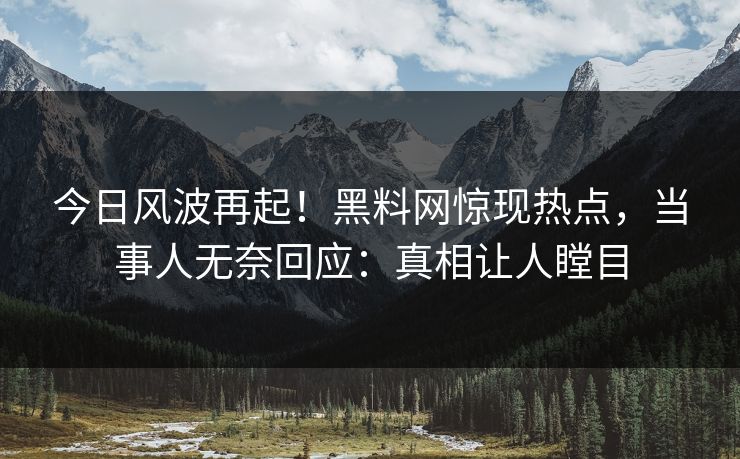 今日风波再起！黑料网惊现热点，当事人无奈回应：真相让人瞠目