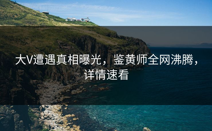 大V遭遇真相曝光，鉴黄师全网沸腾，详情速看