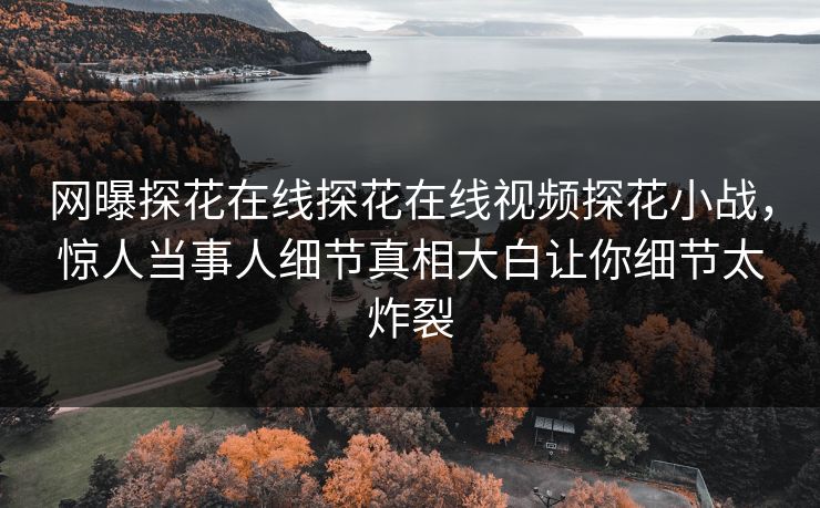 网曝探花在线探花在线视频探花小战，惊人当事人细节真相大白让你细节太炸裂