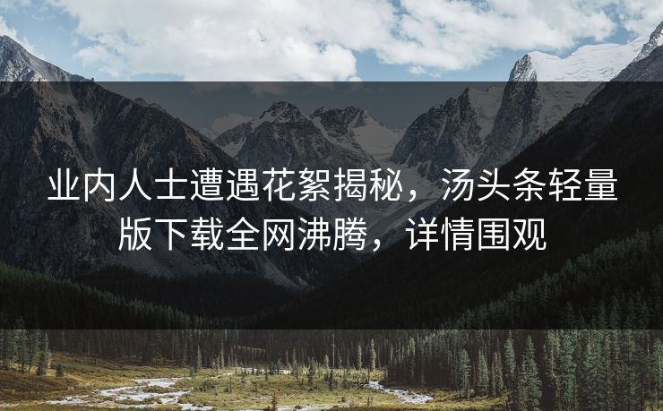 业内人士遭遇花絮揭秘，汤头条轻量版下载全网沸腾，详情围观