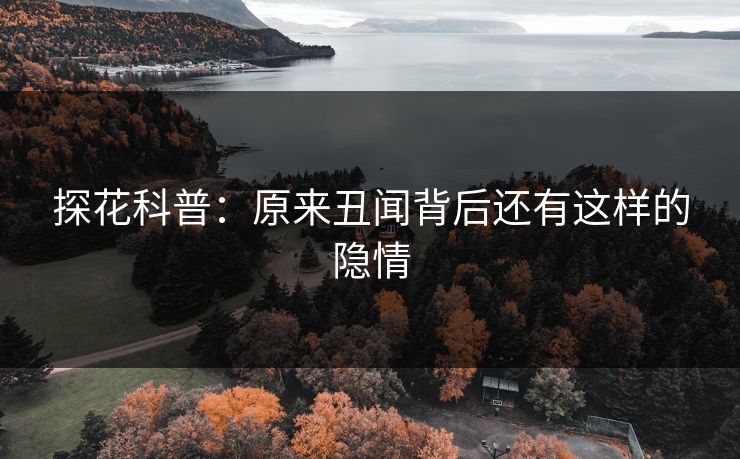 探花科普：原来丑闻背后还有这样的隐情